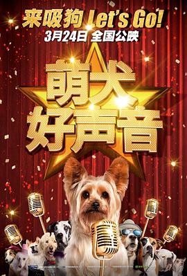 河北彩花视频