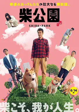 cctv10回看播放