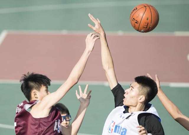 菠萝在线观看免费版电视剧