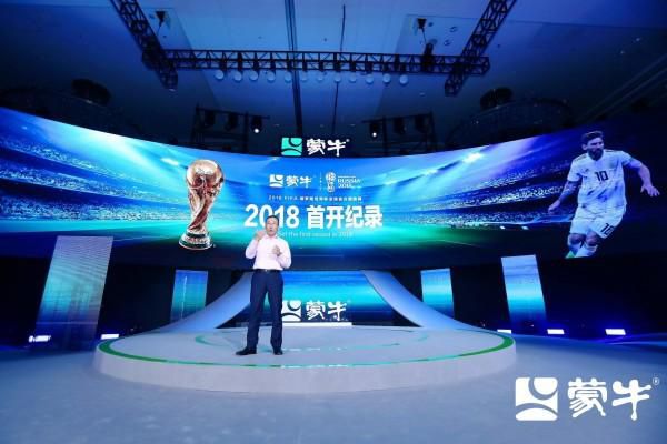 国内精品久久久久久久久野战