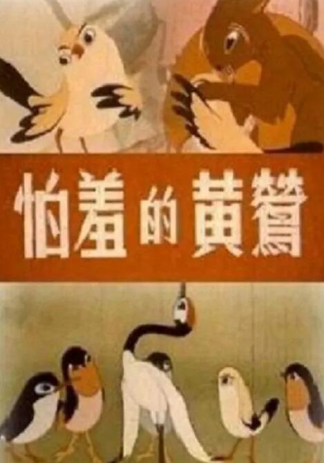 1769视频在线观看