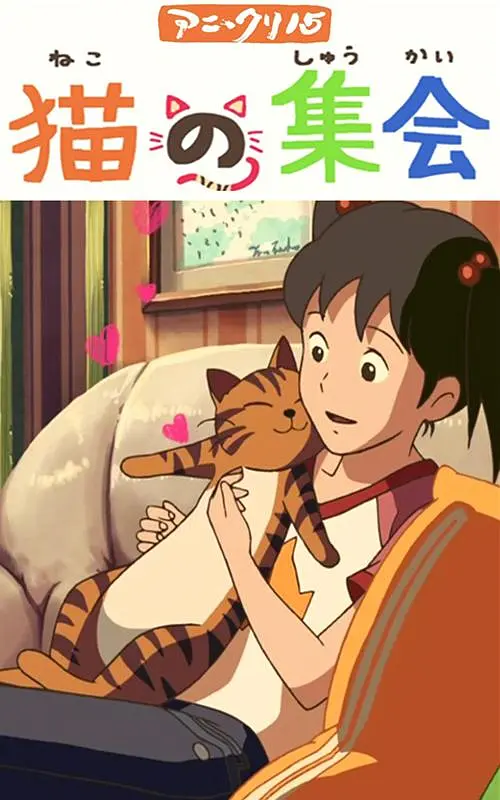 猫咪av网