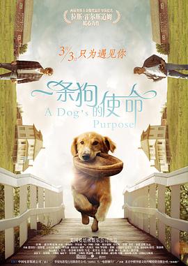 亚洲精品久久久久久久不卡四虎