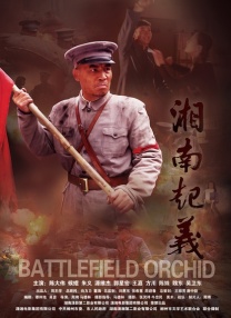 h视频在线免费