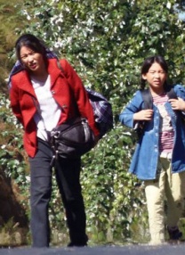 二区在线播放