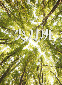 久久亚洲成人