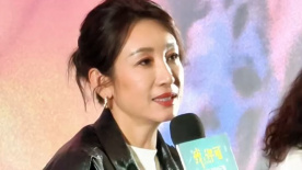 精品久久久久亚洲